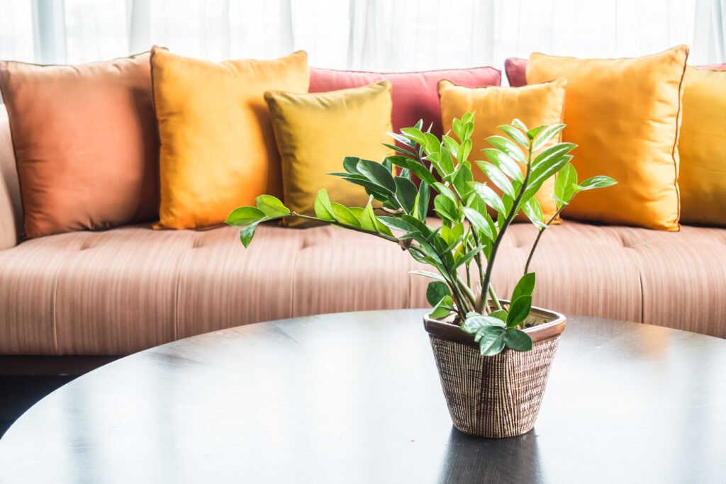 Expert Tips for Stunning Home Decoration