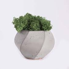Piorro Quisquam Home Decor: